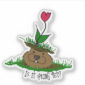 Schattigee Groundhog Op zoek naar de lente Sticker (Voorkant)