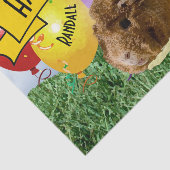 Schattigee Guinea Pig Foto Kinderen Verjaardagsbal Tissuepapier (Detail)