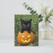Schattigee Halloween Back Cat en Jack O Lantern Feestdagenkaart (Staand voorkant)