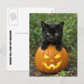 Schattigee Halloween Back Cat en Jack O Lantern Feestdagenkaart (Voorkant / Achterkant)
