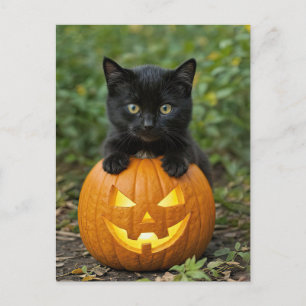 Schattigee Halloween Back Cat en Jack O Lantern Feestdagenkaart