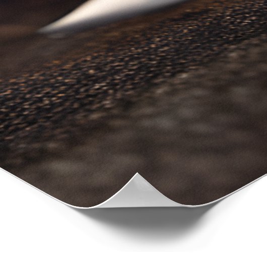 Schattigee Halloween Beagle Dog Puppy in Kostuum P Poster (Hoek)