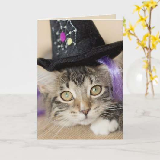 Schattigee Halloween Kitten Witch Kaart (Gele Bloem)