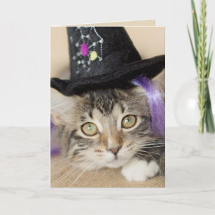 Schattigee Halloween Kitten Witch Kaart