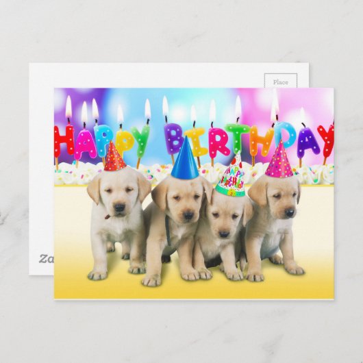 Schattigee Happy Birthday puppies Briefkaart (Voorkant / Achterkant)