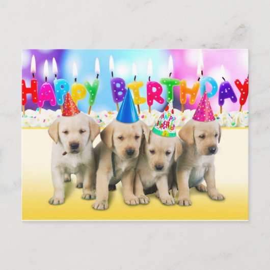 Schattigee Happy Birthday puppies Briefkaart (Voorkant)
