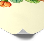 Schattigee Happy Easter chicks Poster (Hoek)