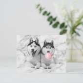 Schattigee Happy Siberische Husky Dogs Blowing Bub Briefkaart (Staand voorkant)
