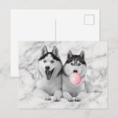 Schattigee Happy Siberische Husky Dogs Blowing Bub Briefkaart (Voorkant / Achterkant)