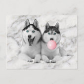 Schattigee Happy Siberische Husky Dogs Blowing Bub Briefkaart (Voorkant)