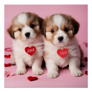 Schattigee Happy Valentijnsdag Puppies Perfect Poster