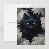 Schattigee harige zwarte kat omringd door witte ve briefkaart (Voorkant / Achterkant)