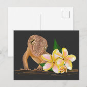 Schattigee Hawaï-gekko Briefkaart (Voorkant / Achterkant)