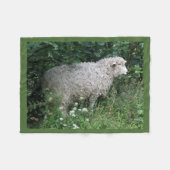 Schattigee hebzuchtige schapen die fleecedeken ete fleece deken (Voorkant (Horizontaal))