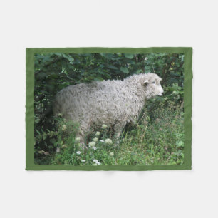 Schattigee hebzuchtige schapen die fleecedeken ete fleece deken