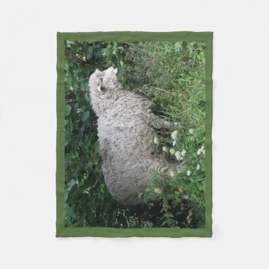 Schattigee hebzuchtige schapen die fleecedeken ete fleece deken (Voorkant)
