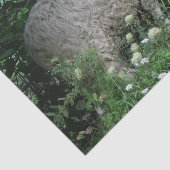 Schattigee hebzuchtige schapen die weefselpapier e tissuepapier (Detail)