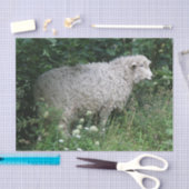 Schattigee hebzuchtige schapen die weefselpapier e tissuepapier (Craft)