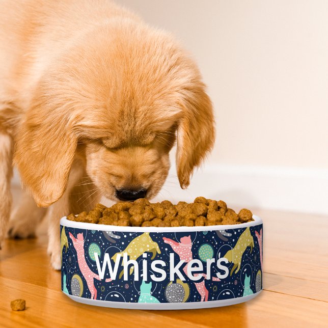 Schattigee hemelse mystieke ruimtekatten gepersona voerbakje (Creator heeft geüpload)