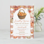 Schattigee Herfst pompoen lokaal geteeld markt Bab Kaart (Staand voorkant)