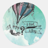 Schattigee Hete Luchtballon Partij Accessoire Stic Ronde Sticker (Voorkant)