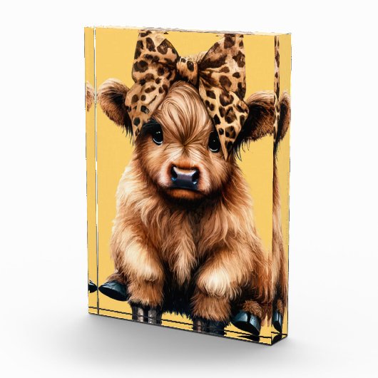 Schattigee Highland Koe met Bow Yellow Fotoblokken (Rechts)