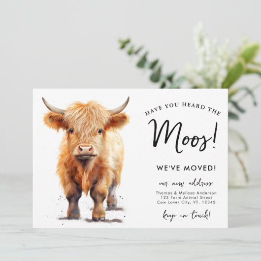 Schattigee Highland Koe We hebben nieuw adres verp Aankondiging (Staand voorkant)