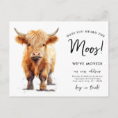 Schattigee Highland Koe We hebben nieuw adres verp Aankondigingskaart (Voorkant)