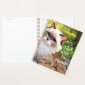 Schattigee Himalaya gluren rond kat Planner (Display)