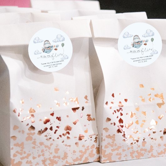 Schattigee Hippo vliegt met vliegtuig en wolken, e Ronde Sticker