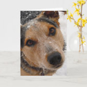 Schattigee Hond Afstuderen Gefeliciteerd Afstudere Kaart (Gele Bloem)