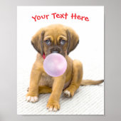 Schattigee Hond, Bubble Gum Bubble, Naam of Berich Poster (Voorkant)