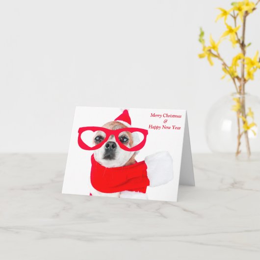 Schattigee hond Chihuahua in Santa Claus Kaart (Gele Bloem)