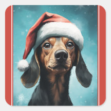 Schattigee Hond Dragen Santa Hat Dachshund Christm