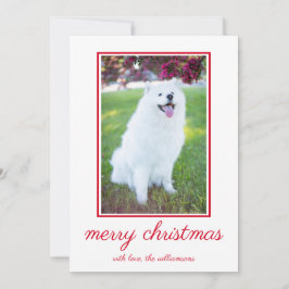 Schattigee hond eenvoudige foto kerst feestdagenkaart