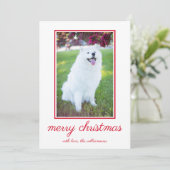 Schattigee hond eenvoudige foto kerst feestdagenkaart (Staand voorkant)