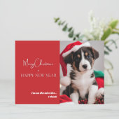 Schattigee Hond Foto Vakantie Kaart (Staand voorkant)