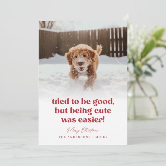 Schattigee Hond Grappig Huisdier Foto Kerst Feestdagenkaart (Staand voorkant)