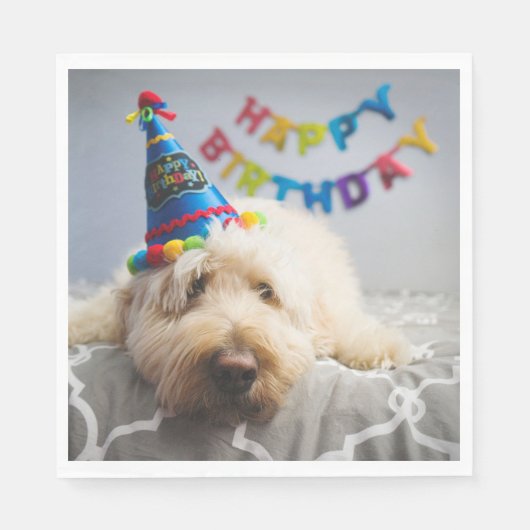 Schattigee hond Happy Birthday servetten (Voorkant)