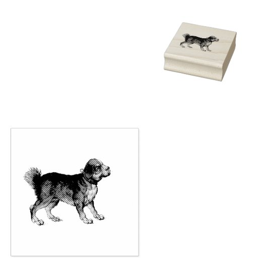 Schattigee Hond Illustratie Rubberstempel (Gestempeld)