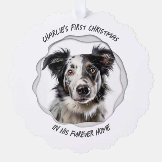 Schattigee Hond Kerstvakantie Ornament Kaart (Voorkant)