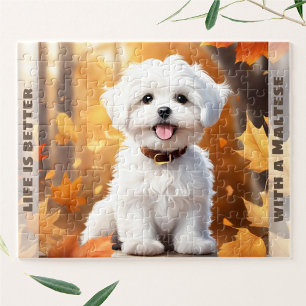 Schattigee Hond Maltese Puppy Pompoen Herfst Herfs Legpuzzel