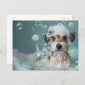 Schattigee hond met een bubbelpad briefkaart (Voorkant / Achterkant)