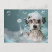 Schattigee hond met een bubbelpad briefkaart (Voorkant)