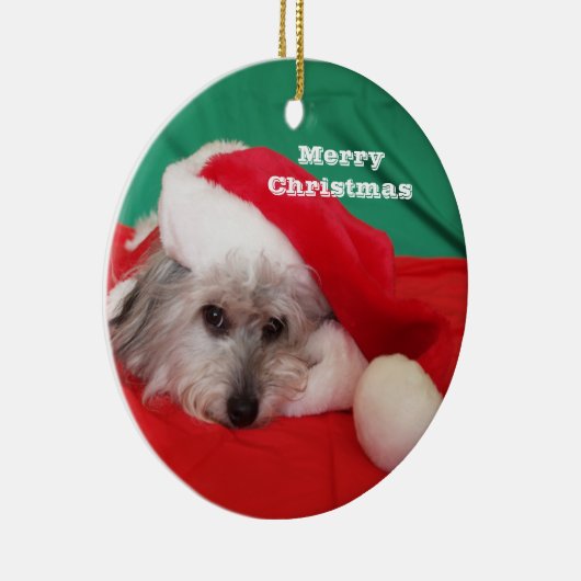 Schattigee hond met Pet kerstversiering Keramisch Ornament (Rechts)