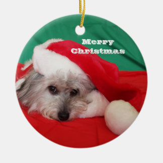 Schattigee hond met Pet kerstversiering Keramisch Ornament