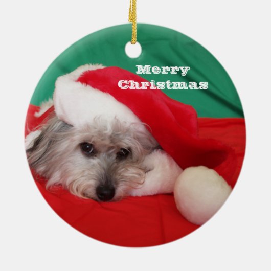 Schattigee hond met Pet kerstversiering Keramisch Ornament (Achterkant)