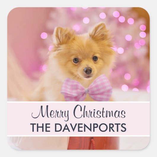 Schattigee Hond met Roze Bow Vrolijke Kerstmis Fot Vierkante Sticker (Voorkant)