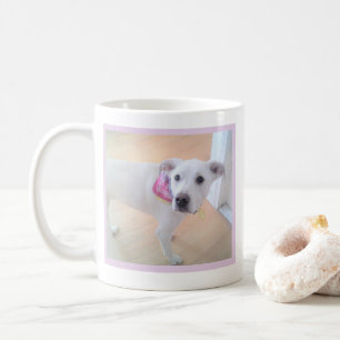 Schattigee Hond met Zoet Gezicht Een Fotobericht T Koffiemok