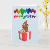 Schattigee hond op geschenkdoos Verjaardag Kaart (Gele Bloem)